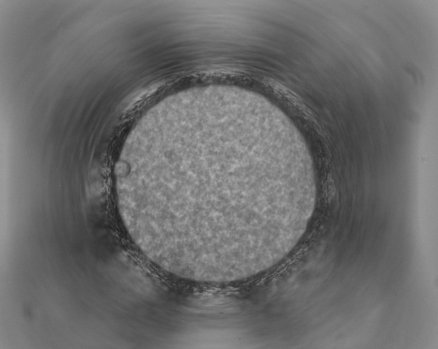 X0000112100824200908251147