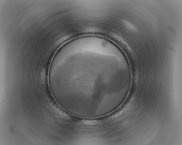 X0000112100825200908251147