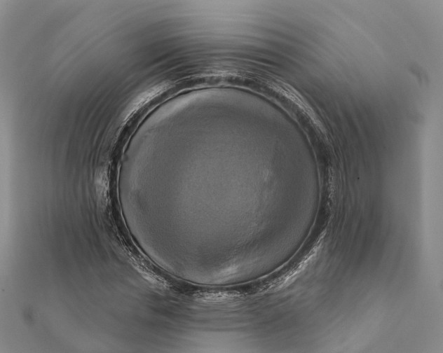 X0000112100826200908251147