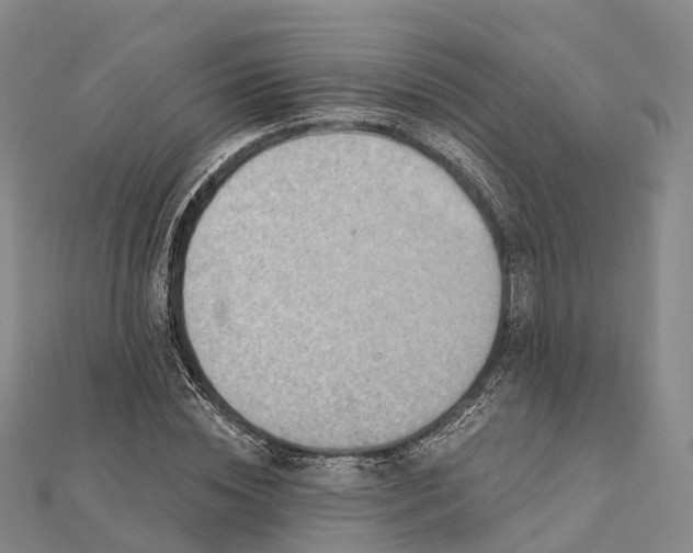 X0000112100828200908251147