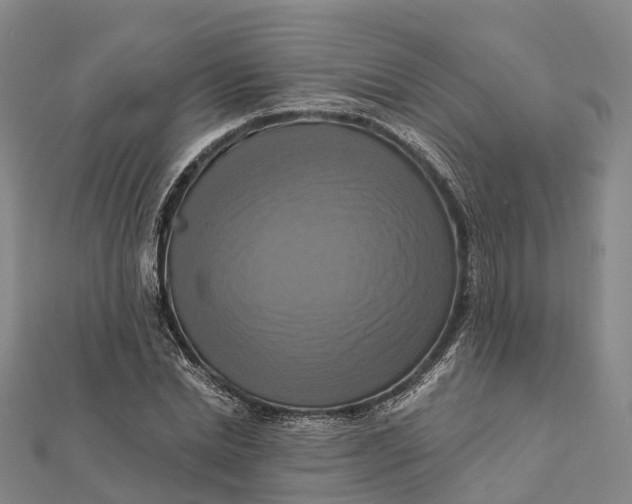 X0000112100830200908251147