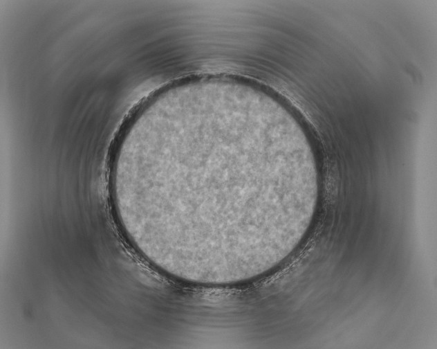 X0000112100832200908251147