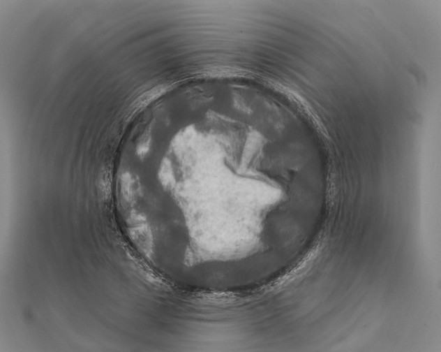 X0000112100833200908251147