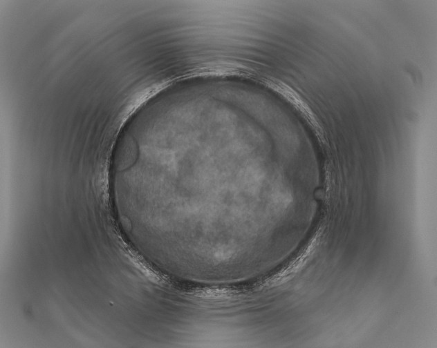 X0000112100834200908251147