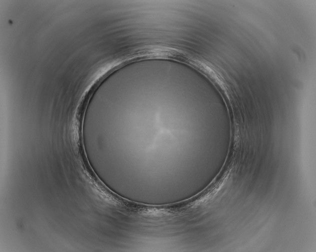 X0000112100835200908251148