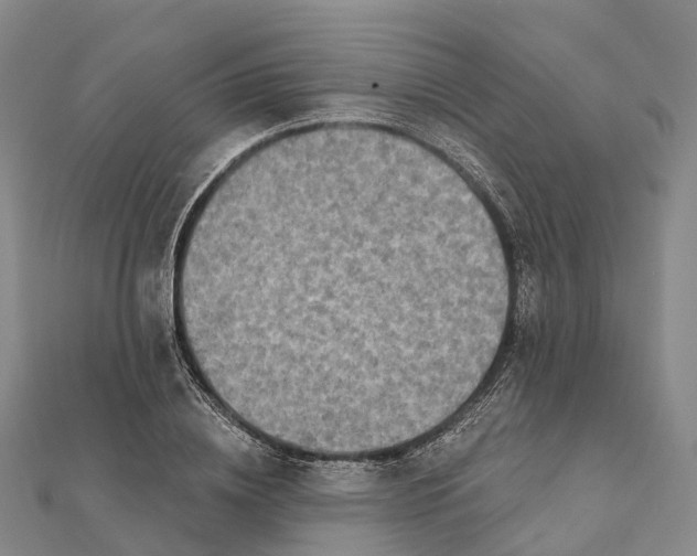 X0000112100836200908251148