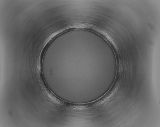 X0000112100837200908251148