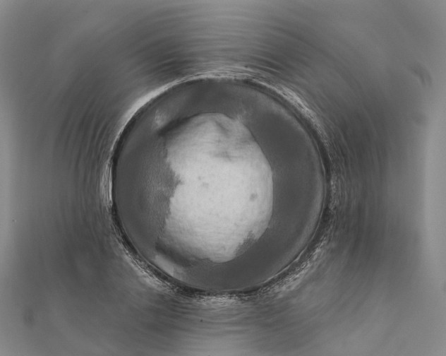 X0000112100838200908251148