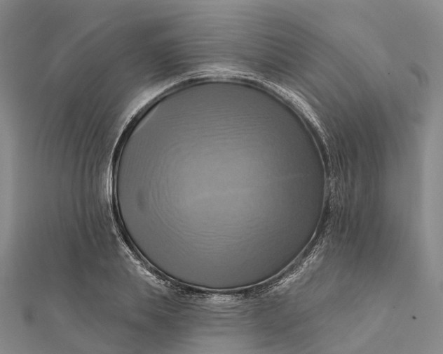 X0000112100839200908251148