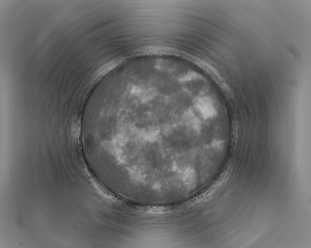 X0000112100841200908251148