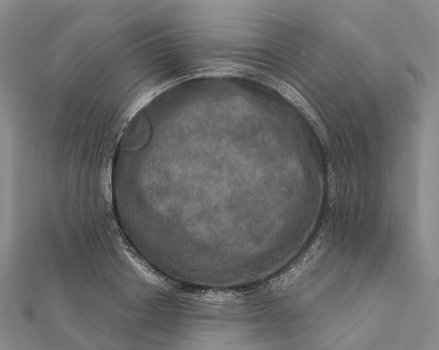 X0000112100842200908251148