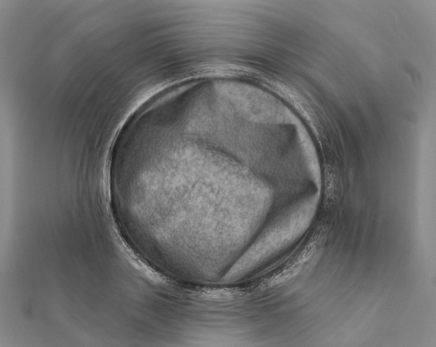 X0000112100843200908251148