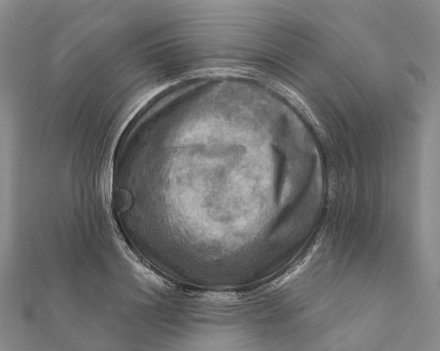 X0000112100844200908251148