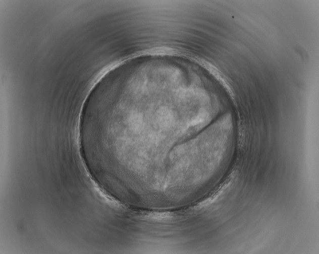 X0000112100845200908251148