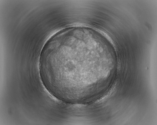 X0000112100847200908251148