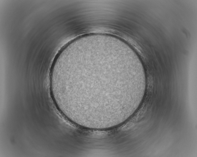 X0000112100848200908251148