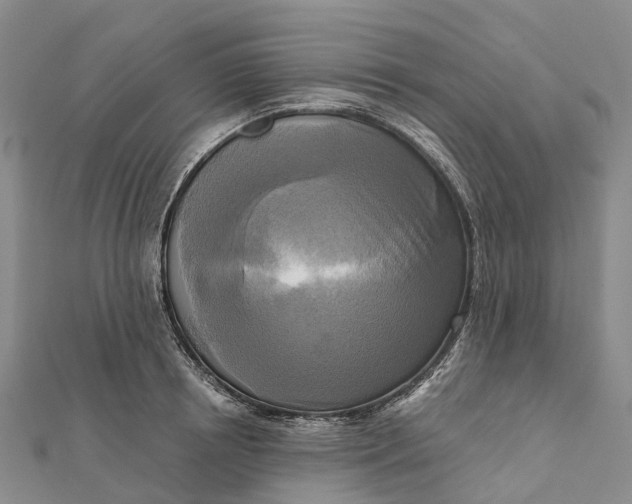 X0000112100850200908251148