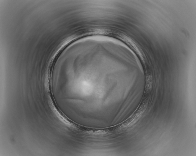 X0000112100851200908251148