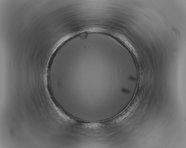 X0000112100853200908251148