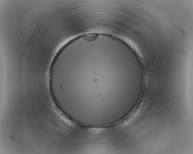 X0000112100854200908251148