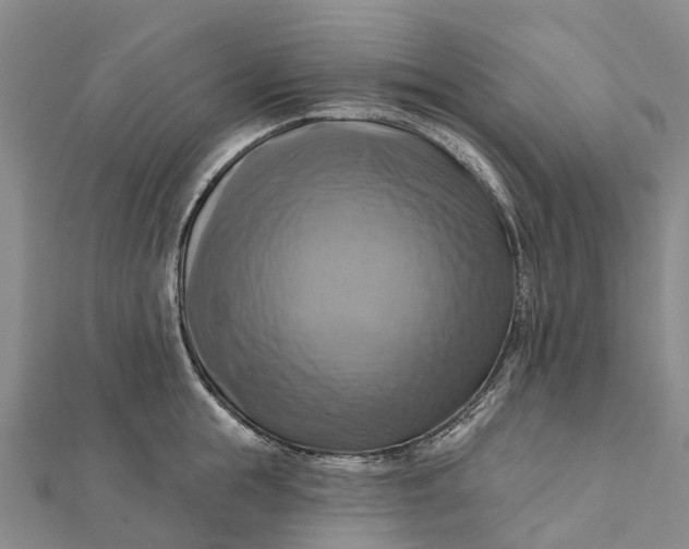 X0000112100855200908251148