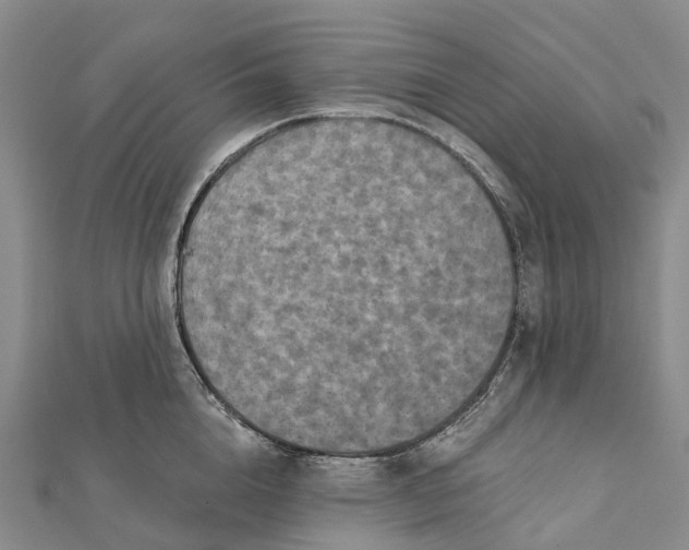 X0000112100856200908251148