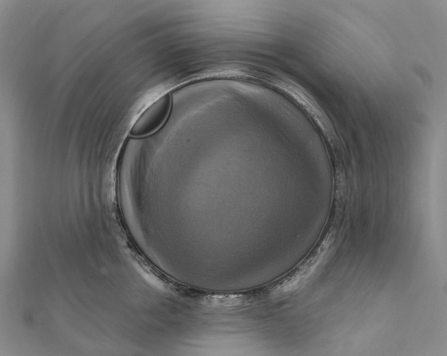 X0000112100858200908251148