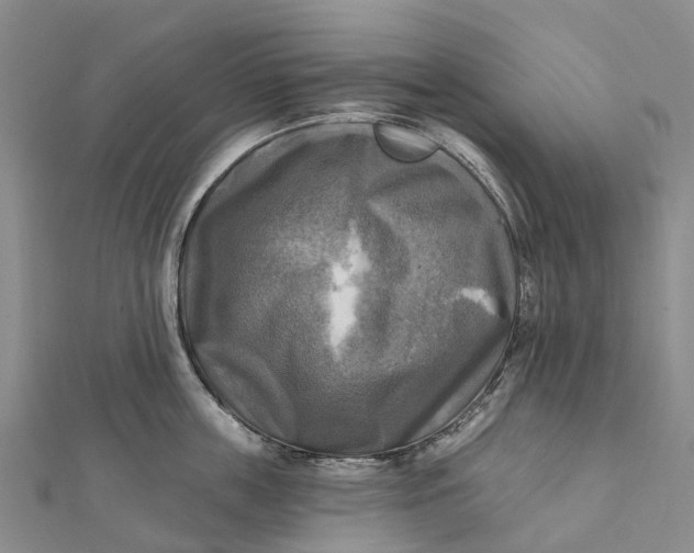 X0000112100859200908251148