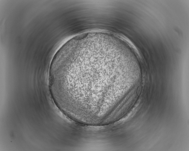 X0000112100860200908251148