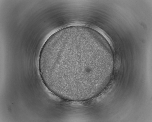 X0000112100861200908251148