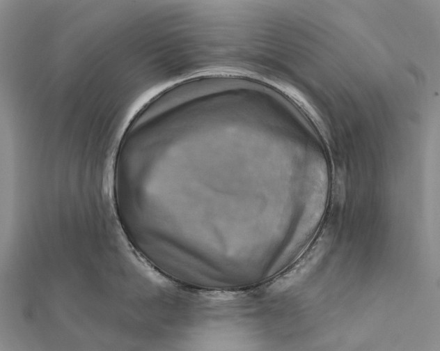 X0000112100862200908251148