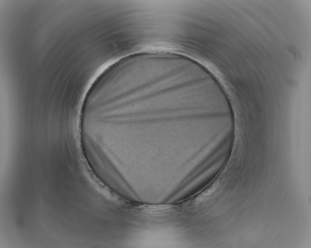 X0000112100864200908251148