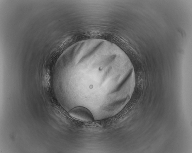 X0000112100866200908251147