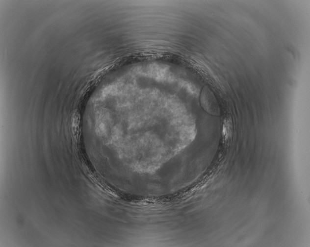 X0000112100867200908251147