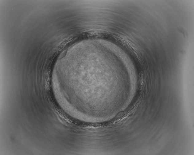 X0000112100868200908251147