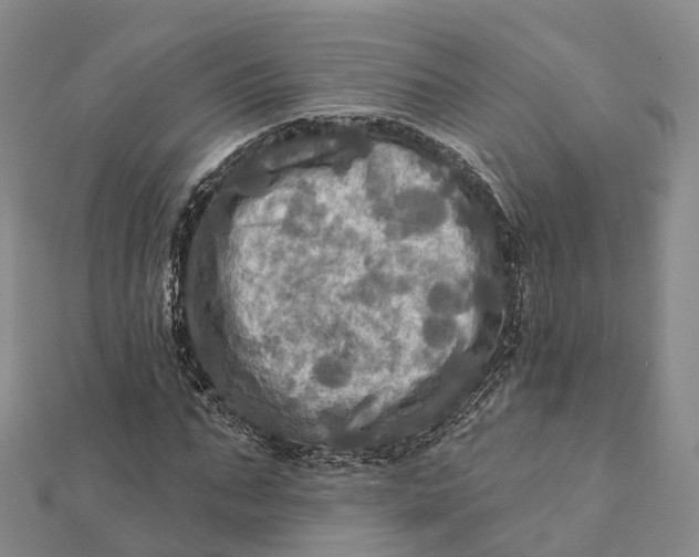 X0000112100871200908251147