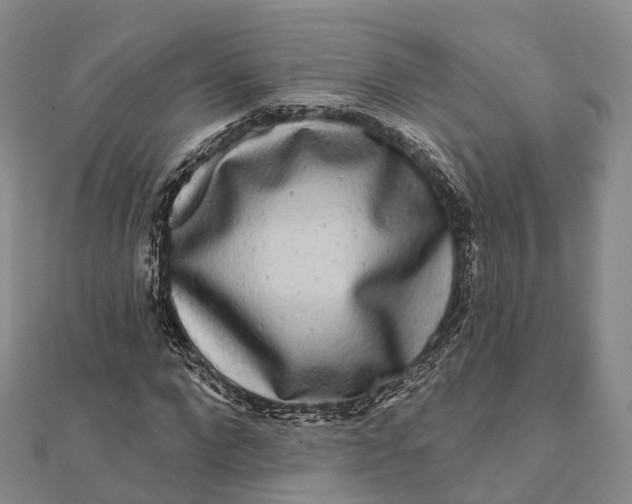 X0000112100872200908251147