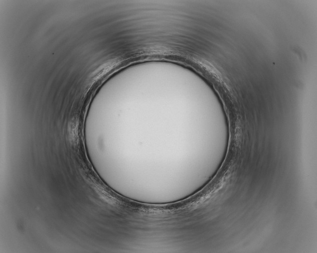 X0000112100873200908251147