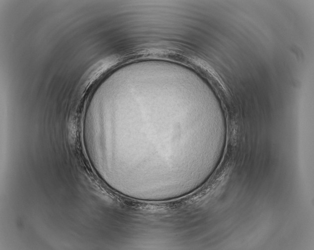 X0000112100874200908251147