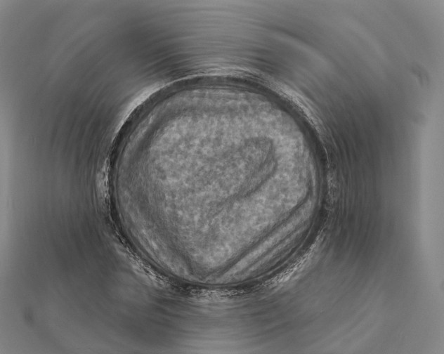 X0000112100875200908251147