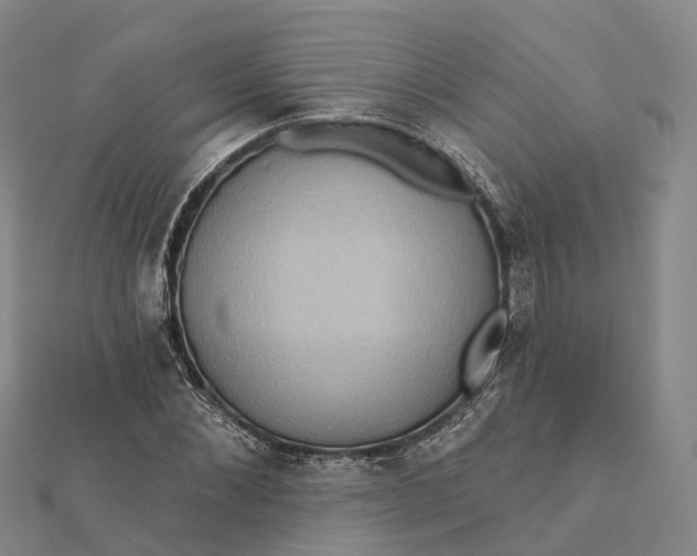 X0000112100876200908251147