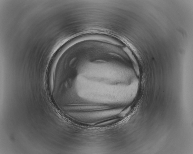 X0000112100877200908251147