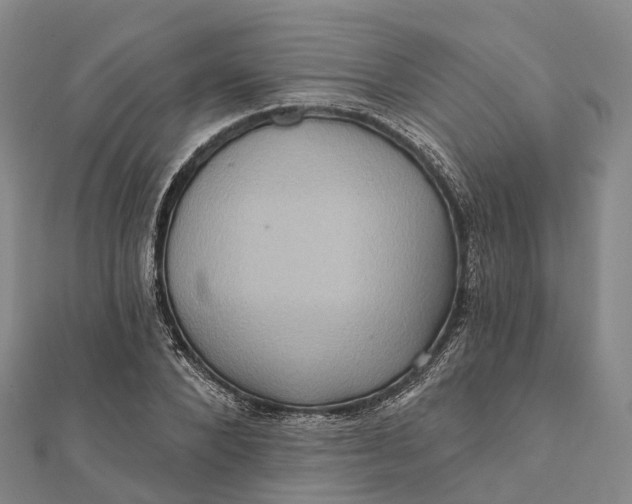 X0000112100880200908251147