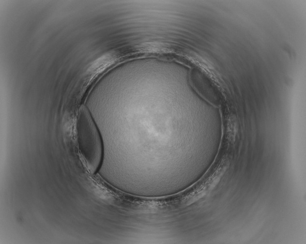 X0000112100881200908251147