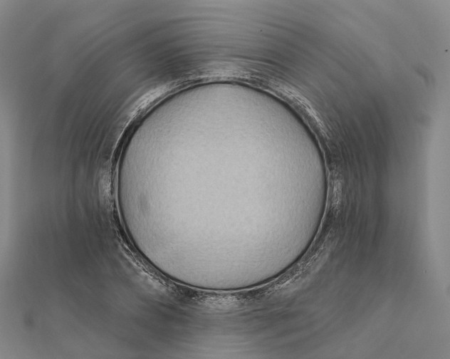 X0000112100882200908251147