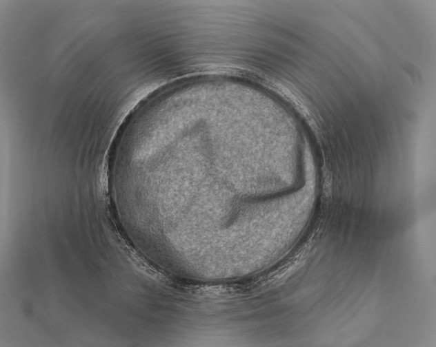 X0000112100883200908251147