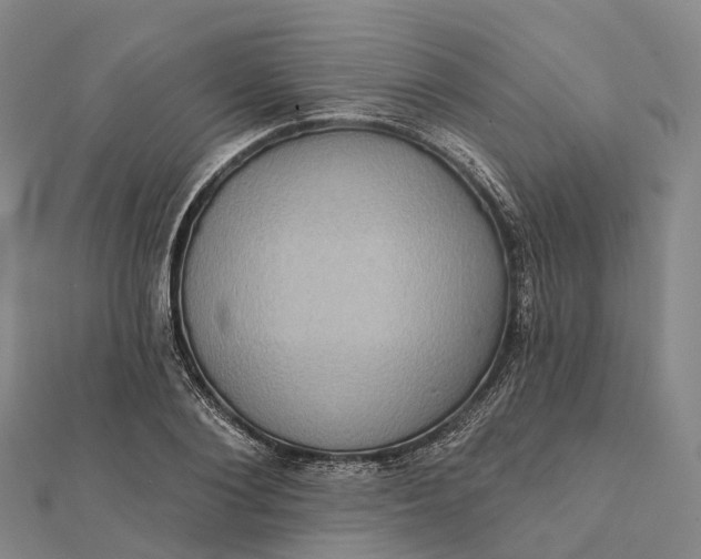 X0000112100884200908251147