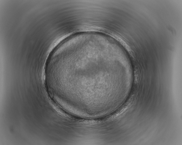 X0000112100885200908251147