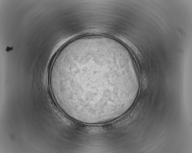 X0000112100886200908251147