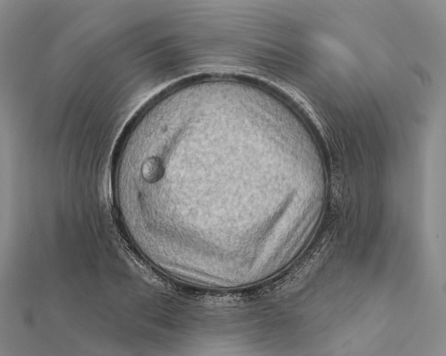 X0000112100887200908251147